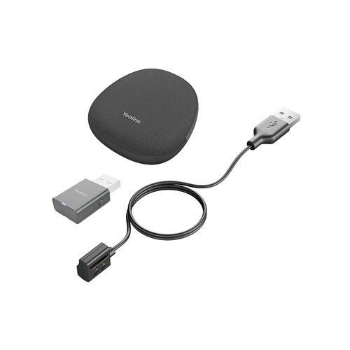 Portable Accessory Kit for WH62/WH66 Portable Accessory Kit for WH62/WH66